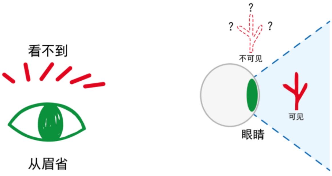 图片[2]-1无视之眉（省）-善米