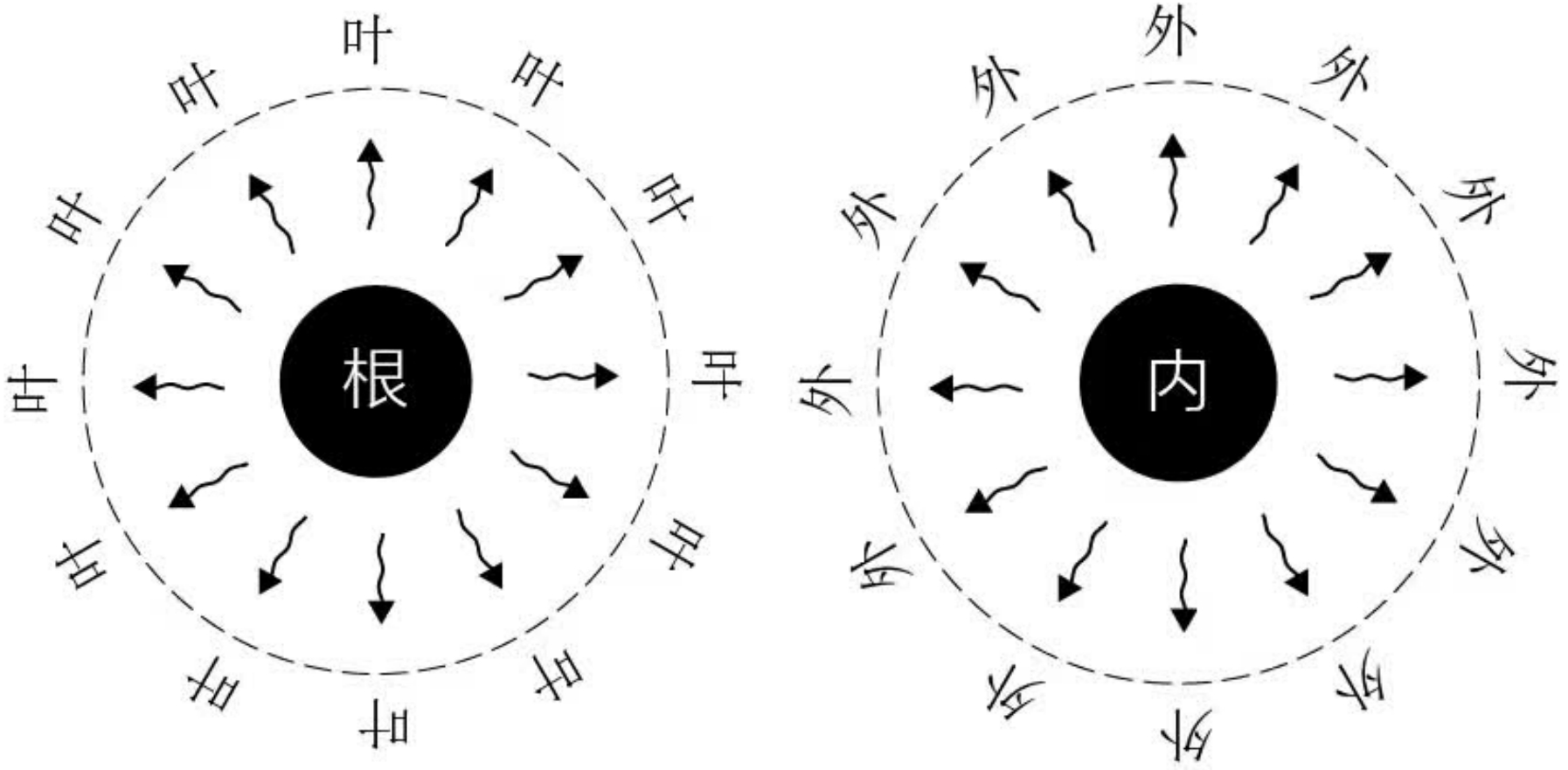 图片[3]-脚气、疹子中的阴阳之道-善米