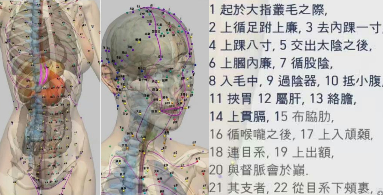 图片[1]-肝经中的阴阳之道1-善米