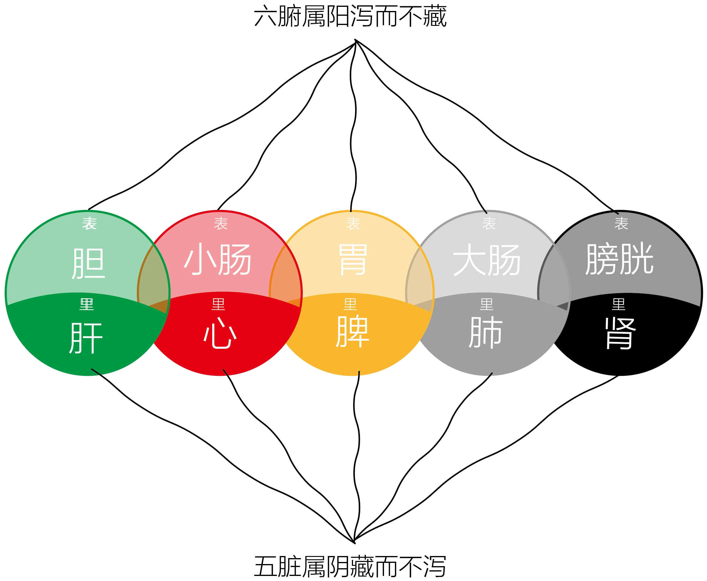 图片[2]-脏邪还腑中的阴阳之道-善米