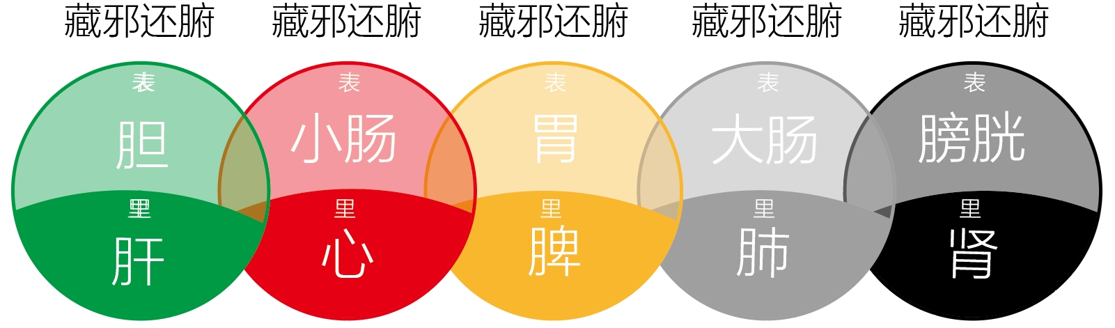 图片[1]-脏邪还腑中的阴阳之道-善米