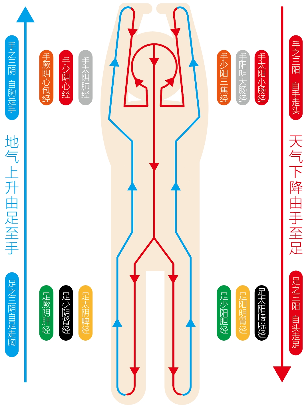 图片[2]-泡脚中的阴阳之道-善米