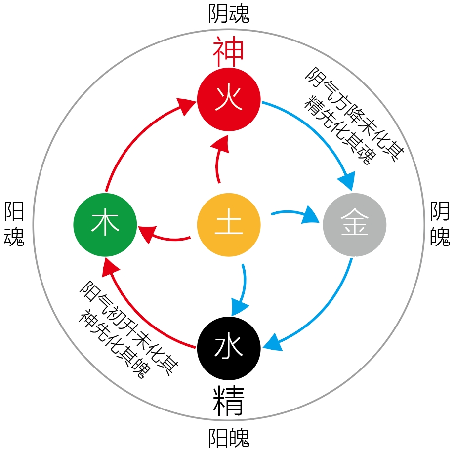 图片[1]-精神化生中的阴阳之道-善米