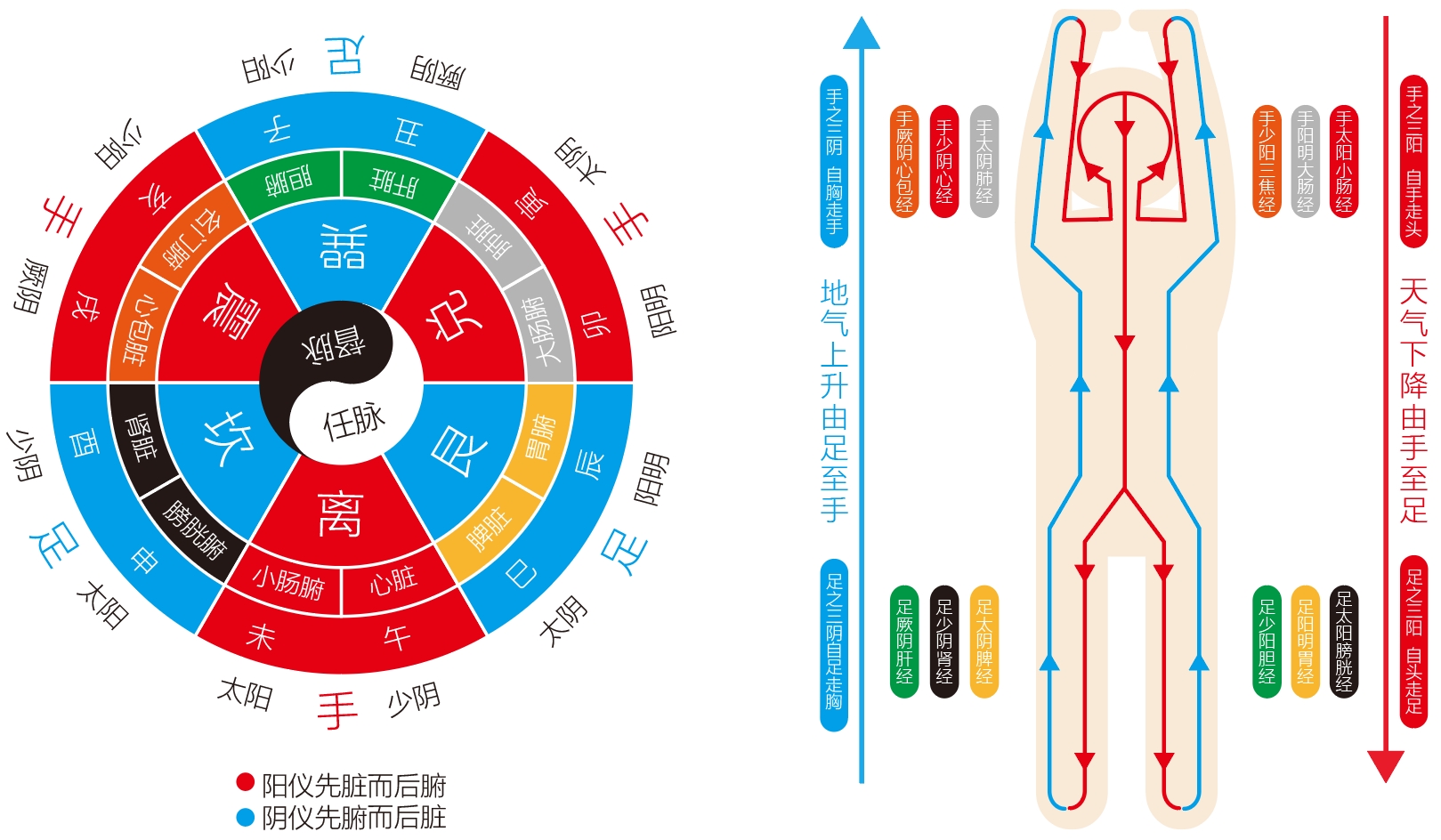 图片[2]-八卦与六经中的阴阳之道-善米