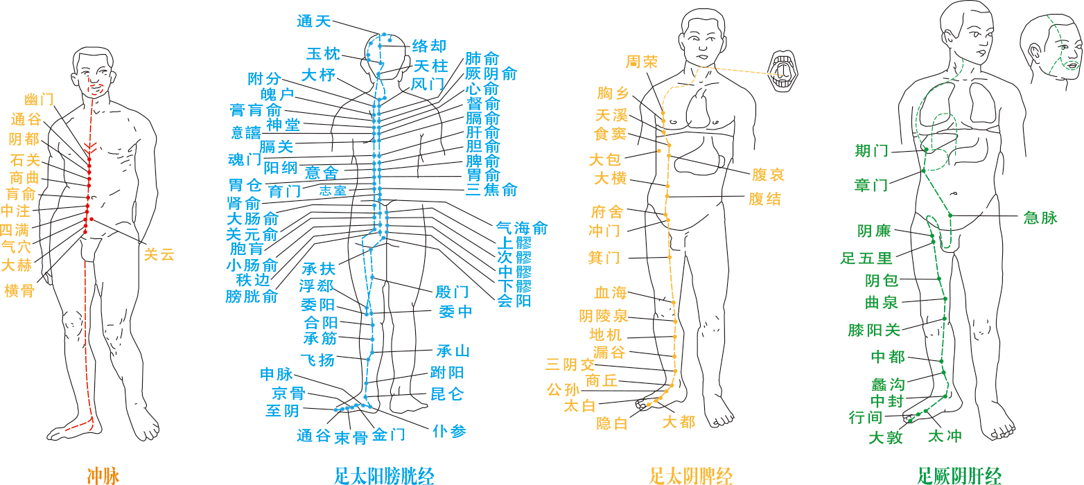 图片[1]-经络分布中的阴阳之道-善米