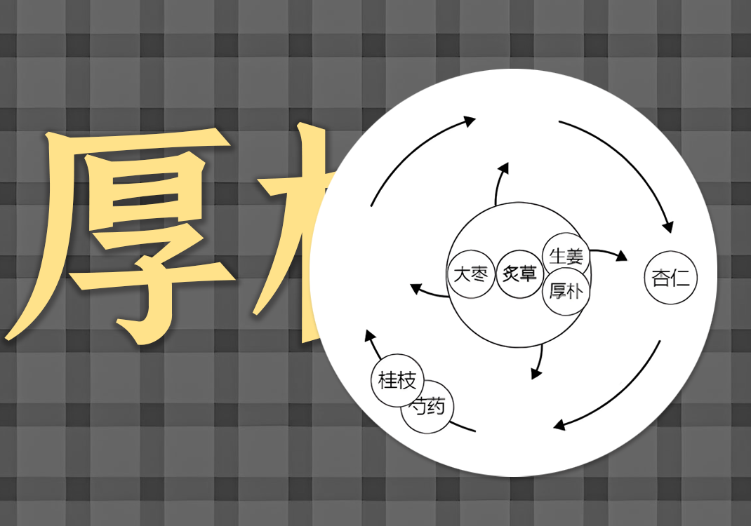 桂枝加厚朴杏子汤中的阴阳之道-善米