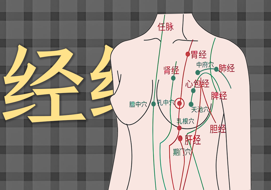 经络分布中的阴阳之道-善米