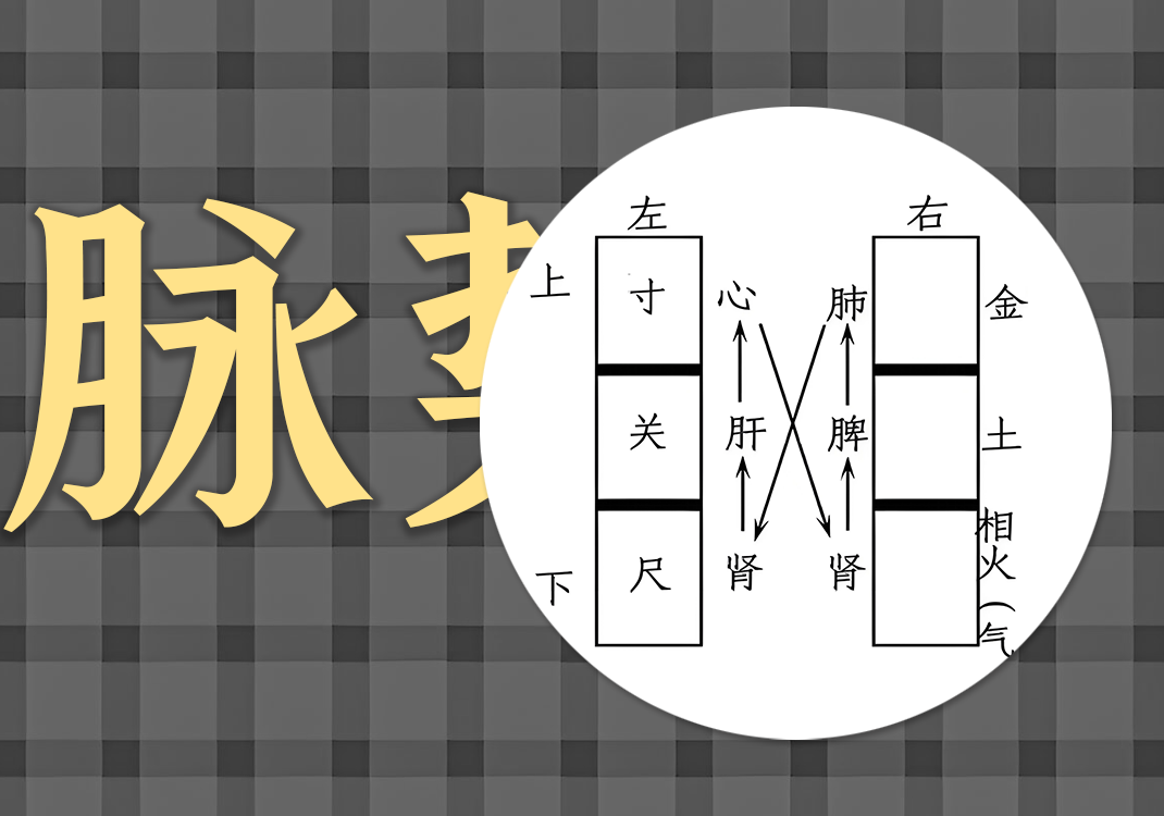 脉诊之势中的阴阳之道2-善米