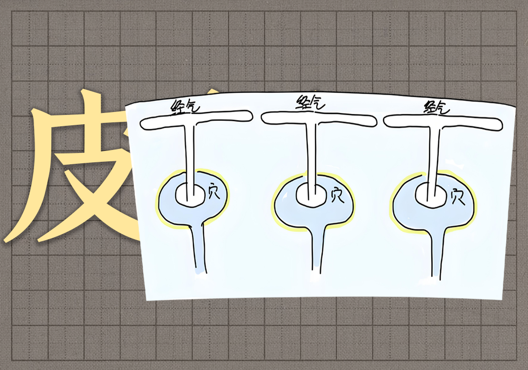 11十二皮部本质-善米