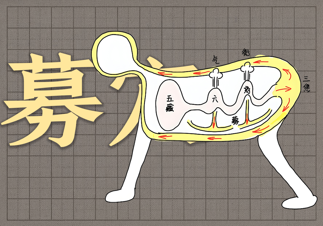 14募穴本质-善米