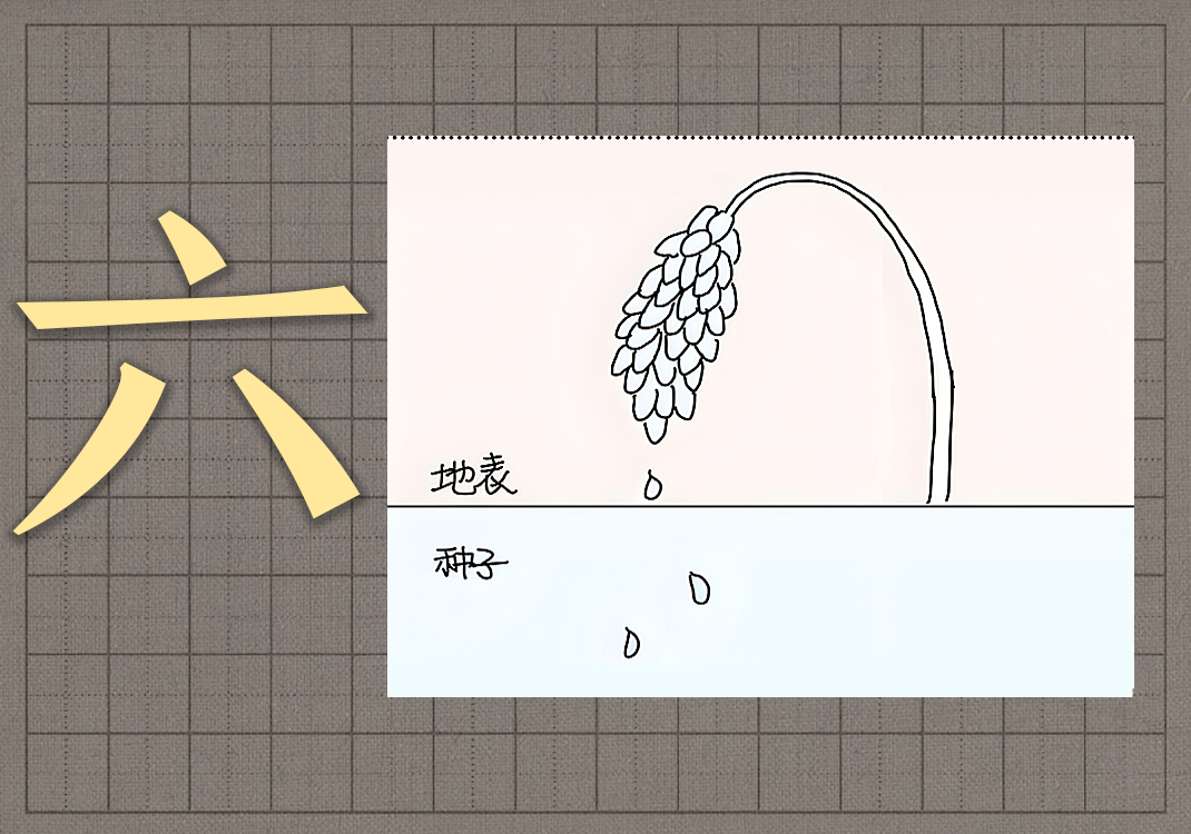 1六府本质-善米