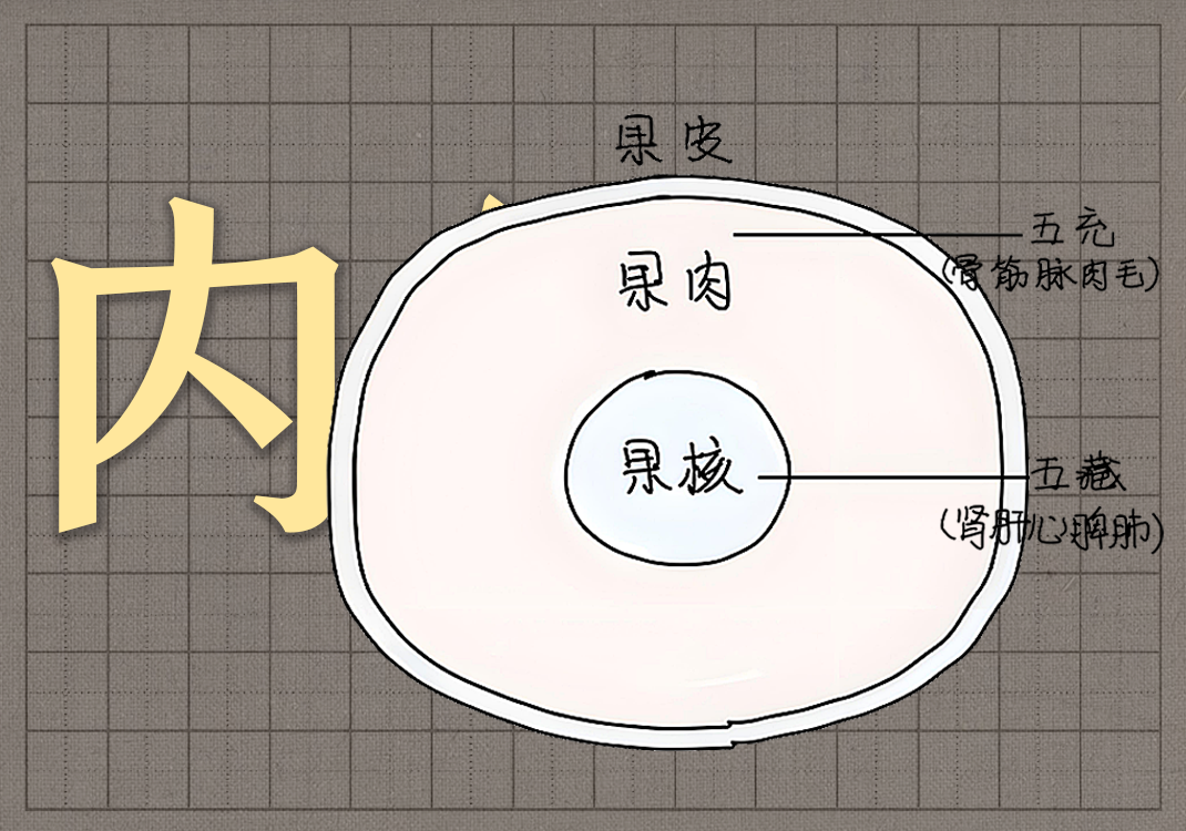 4五藏之表-善米