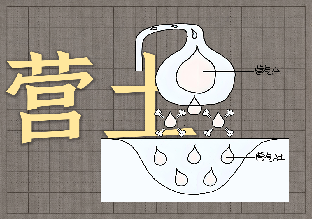 4营气属土-善米