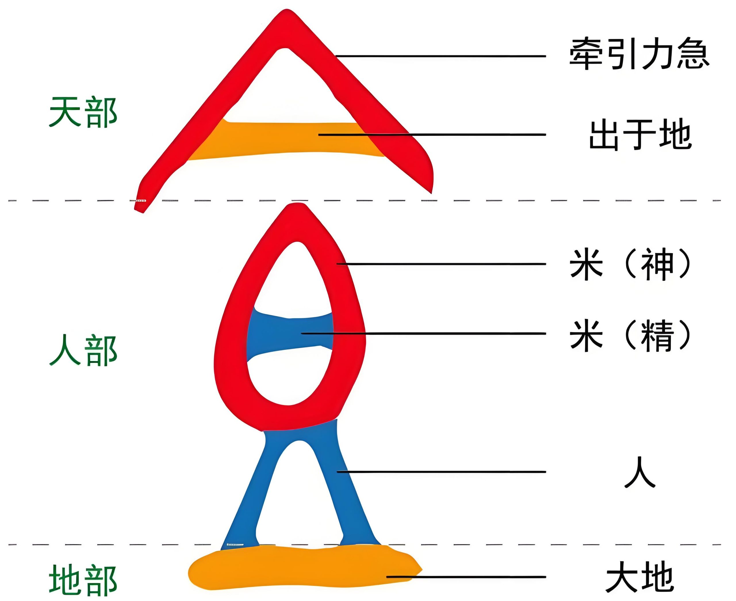 图片[2]-7草木之精2（食）-善米