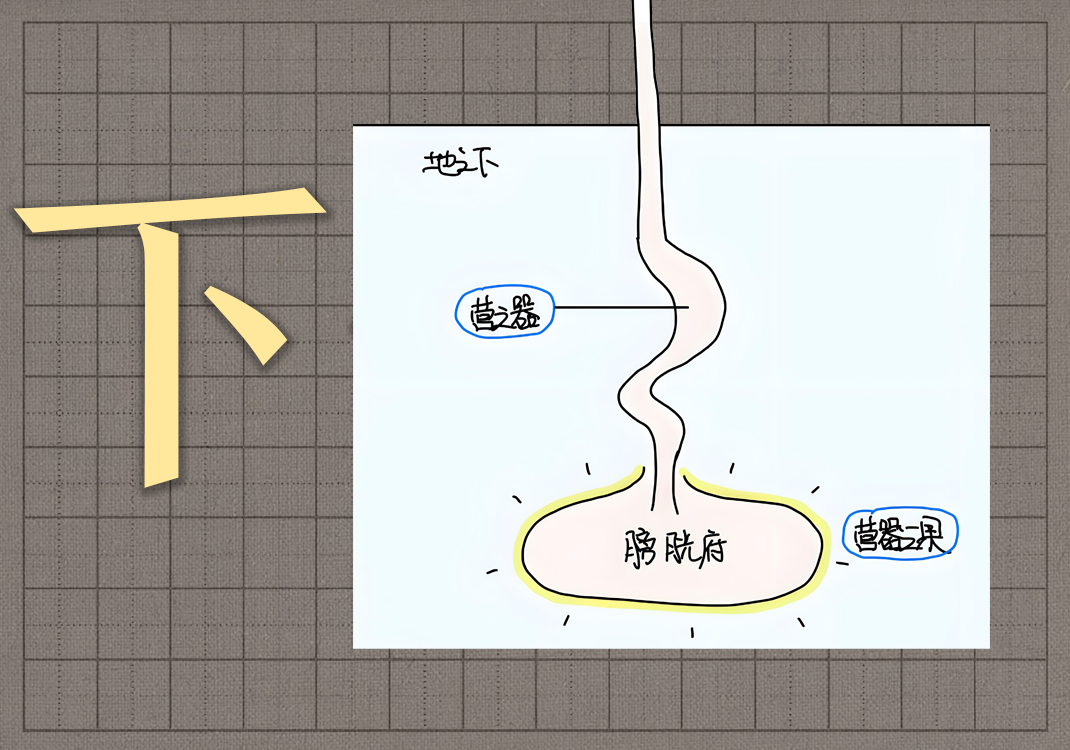 5下焦之所入-善米