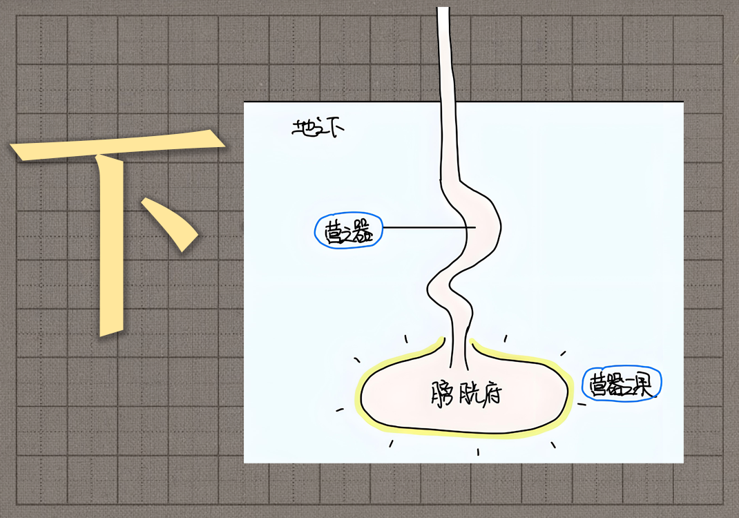 5下焦之所入-善米