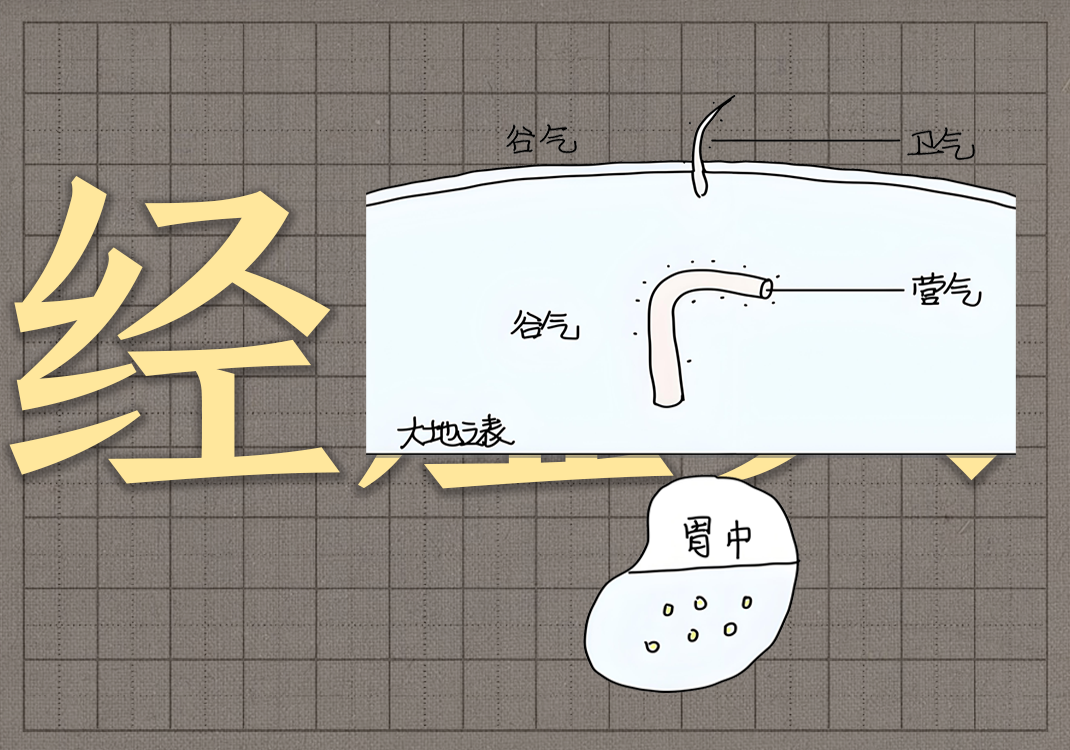 6十二经虚实关系-善米