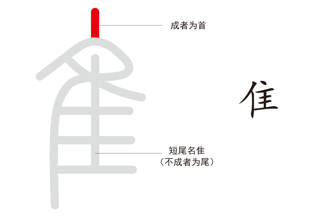 10负地之九鸟1（隹）-善米