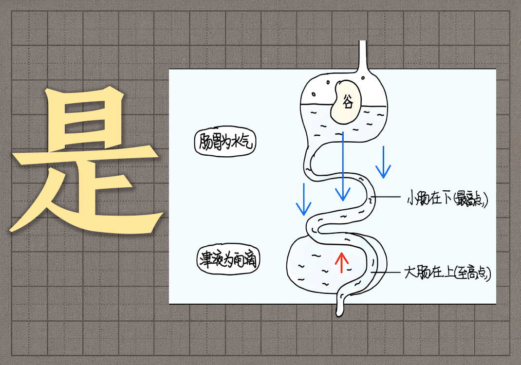 7六府之是非-善米