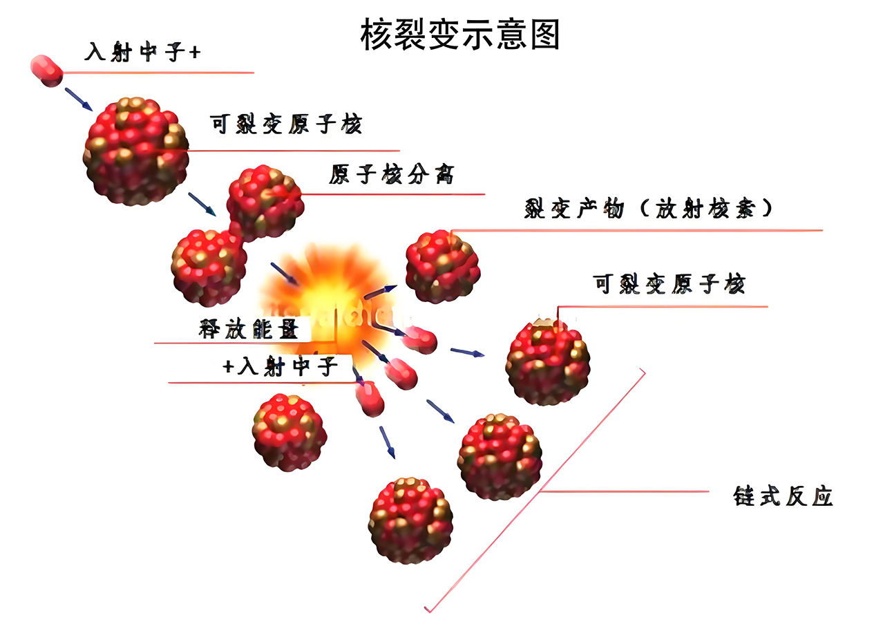 图片[6]-癌症中的阴阳之道-善米