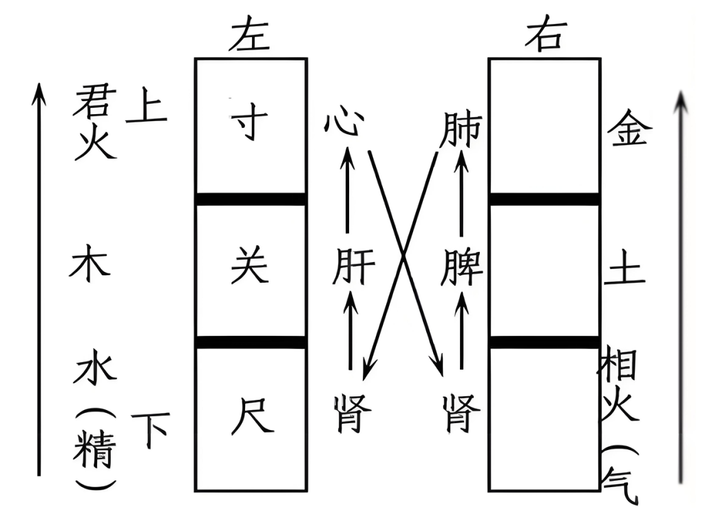 图片[2]-脉诊之势中的阴阳之道2-善米