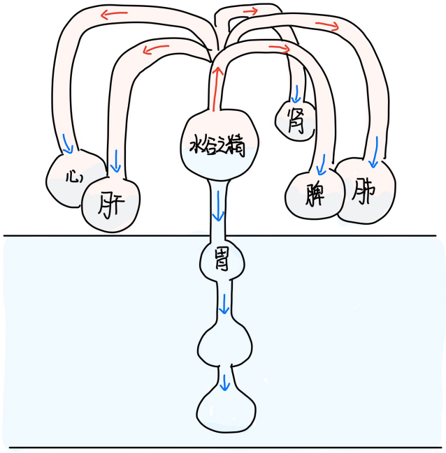 图片[1]-5五藏之充-善米