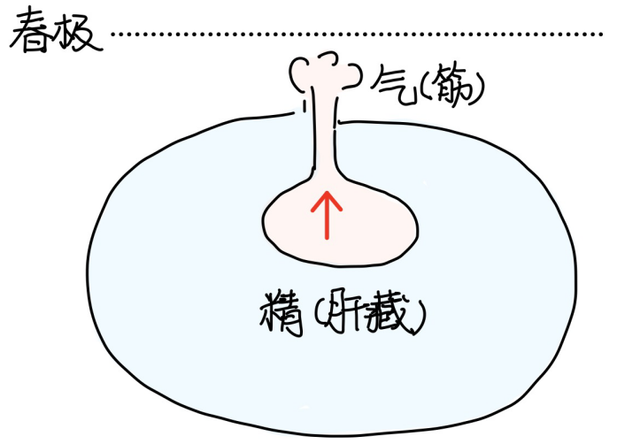 图片[1]-6五藏之势-善米