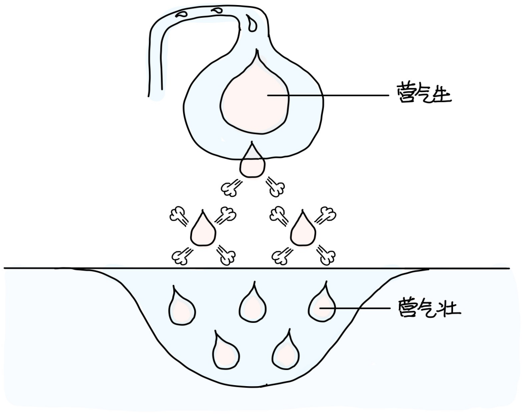 图片[1]-4营气属土-善米