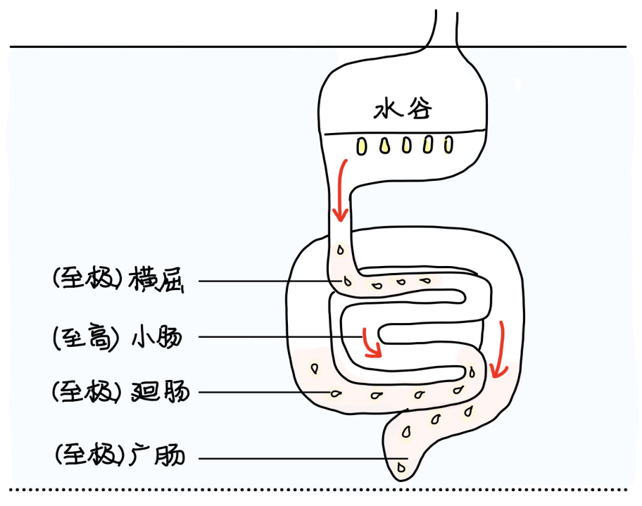 图片[1]-3六府之受-善米