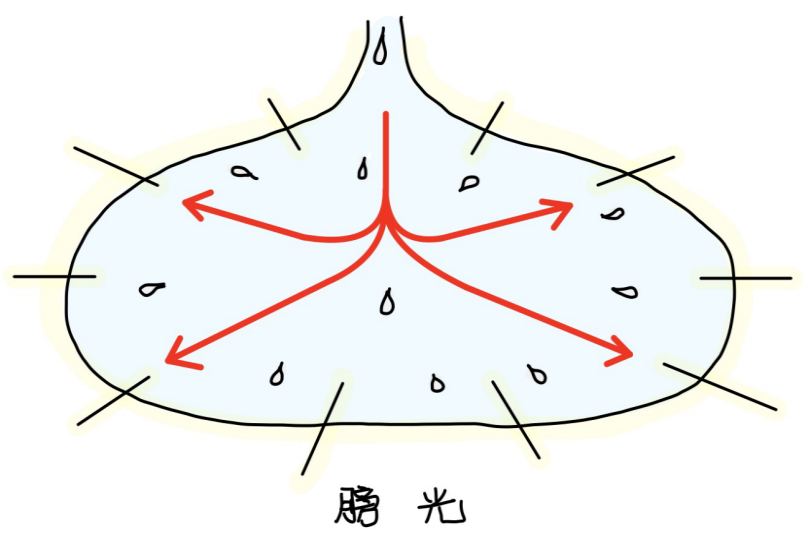 图片[1]-4下焦之所出-善米