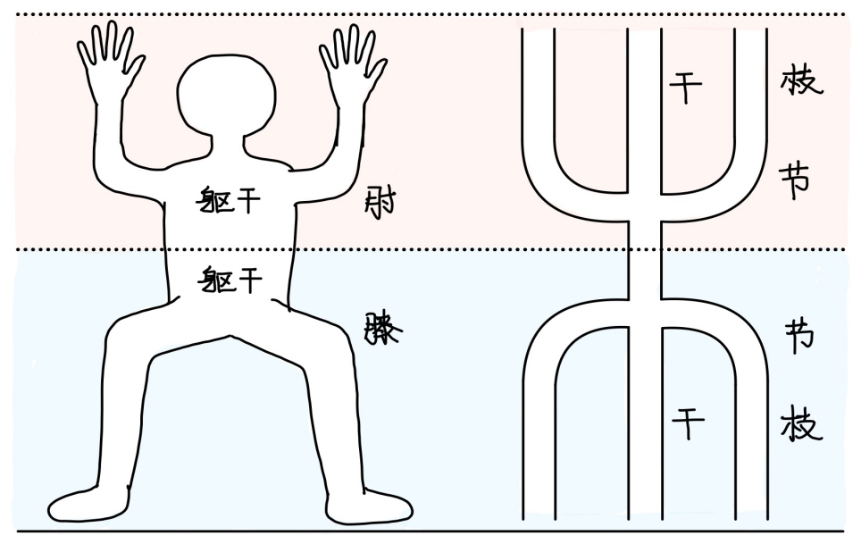 图片[1]-5手足与枝叶之理-善米