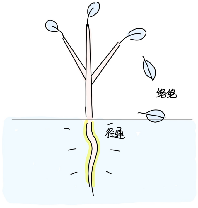 9络绝与径通之理-善米