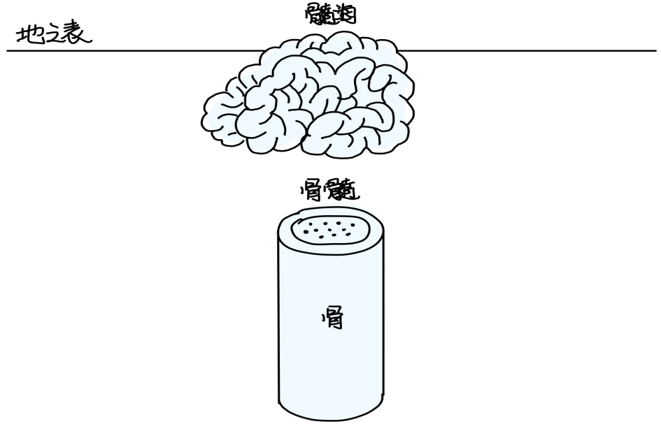 3先天之精本质-善米