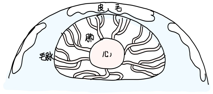 4荣卫与表-善米