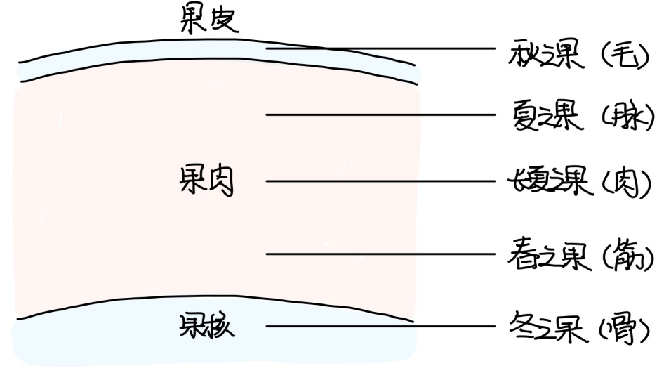 图片[2]-4五藏之表-善米