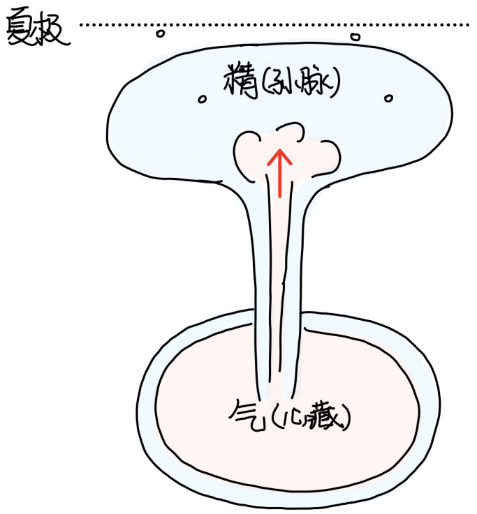 图片[2]-6五藏之势-善米