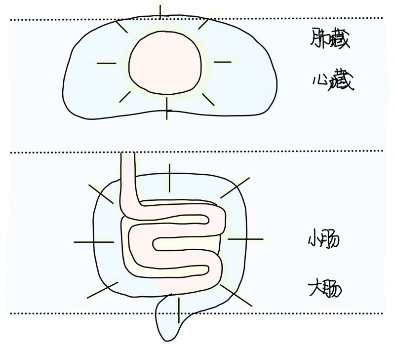 图片[2]-1六府本质-善米