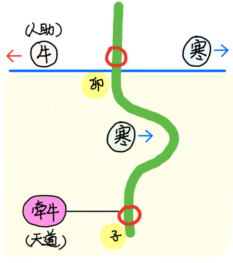 图片[2]-2何为万物（勿）-善米