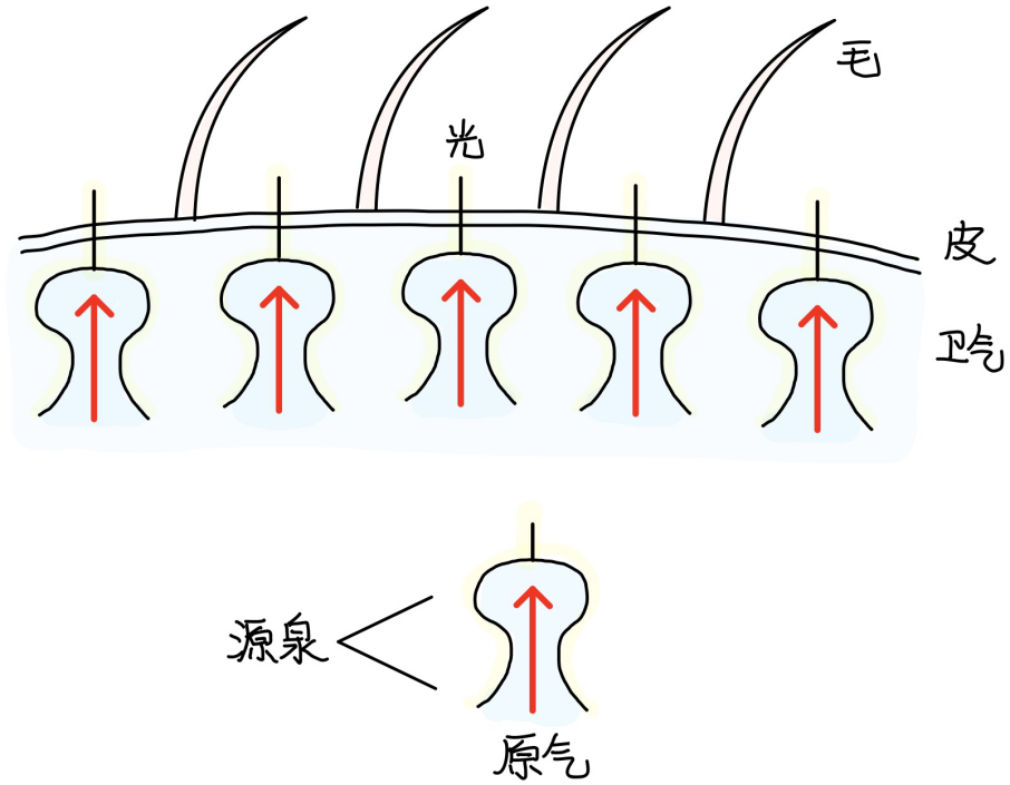 图片[2]-4下焦之所出-善米