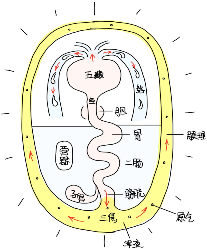 图片[2]-14募穴本质-善米