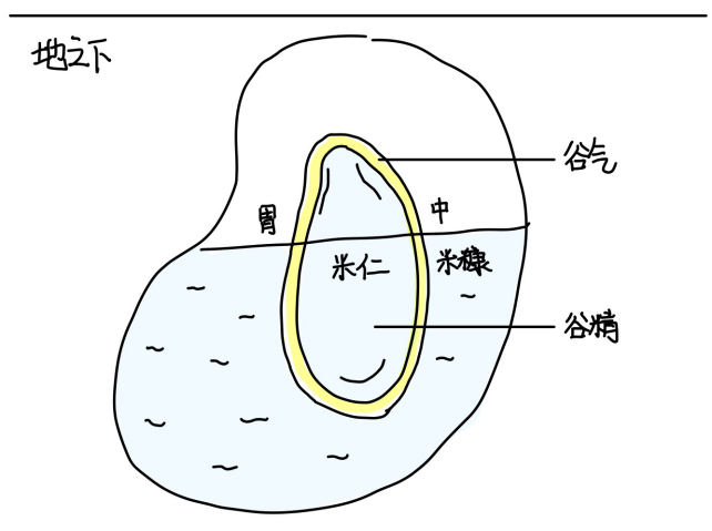 图片[2]-6十二经虚实关系-善米