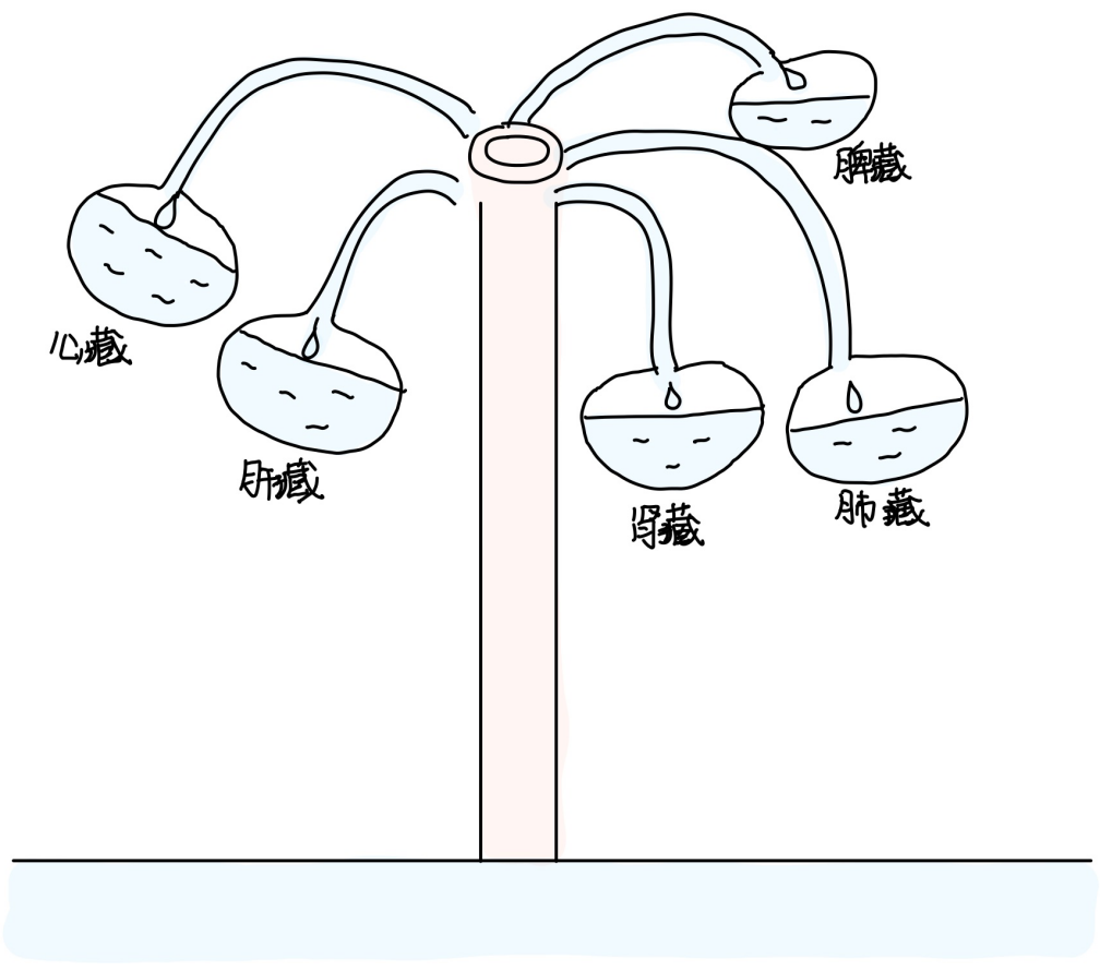 图片[2]-1六经的本质-善米