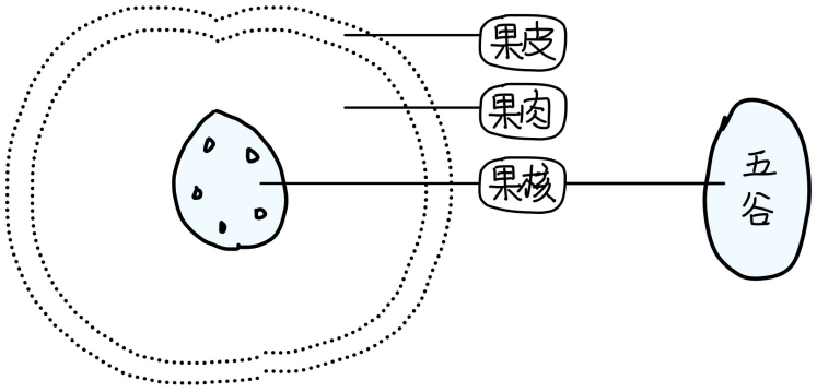 图片[3]-5五藏之充-善米