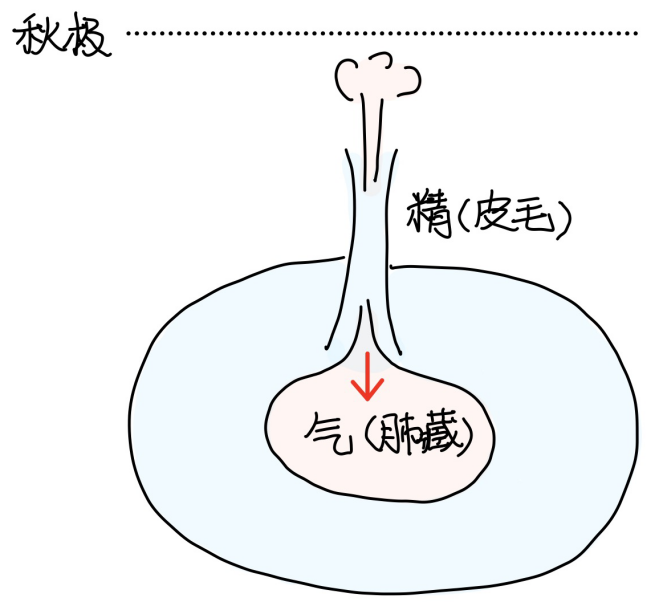 图片[3]-6五藏之势-善米