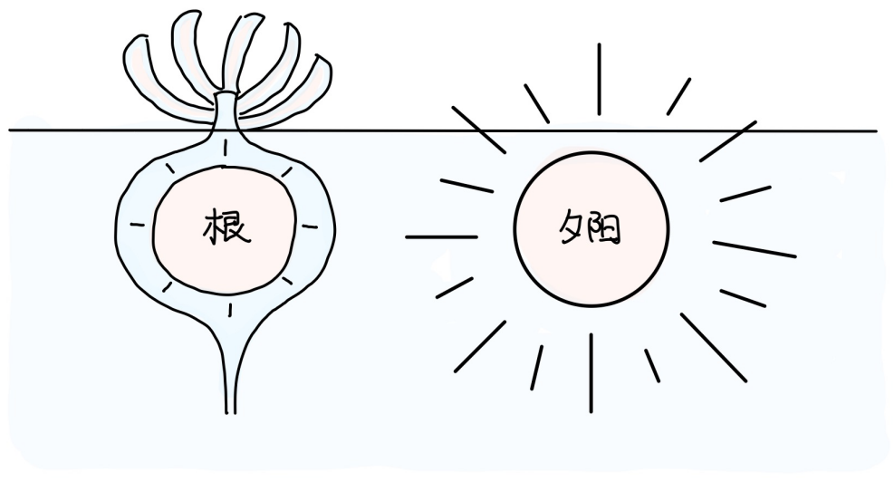 图片[3]-7五藏之入-善米