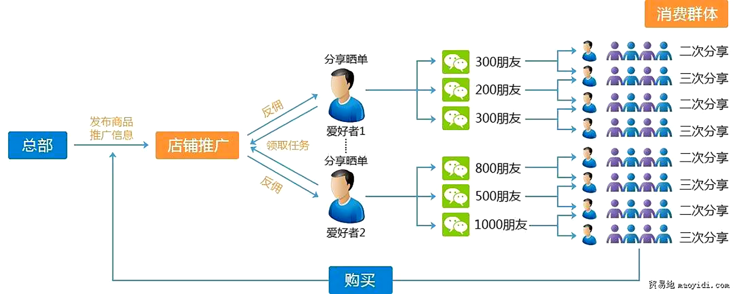 图片[3]-癌症中的阴阳之道-善米