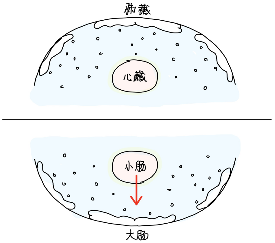 图片[3]-1六府本质-善米