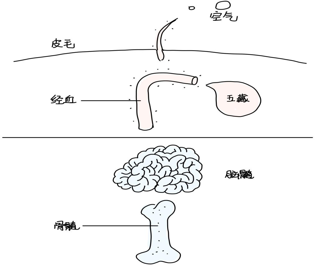 图片[3]-6十二经虚实关系-善米