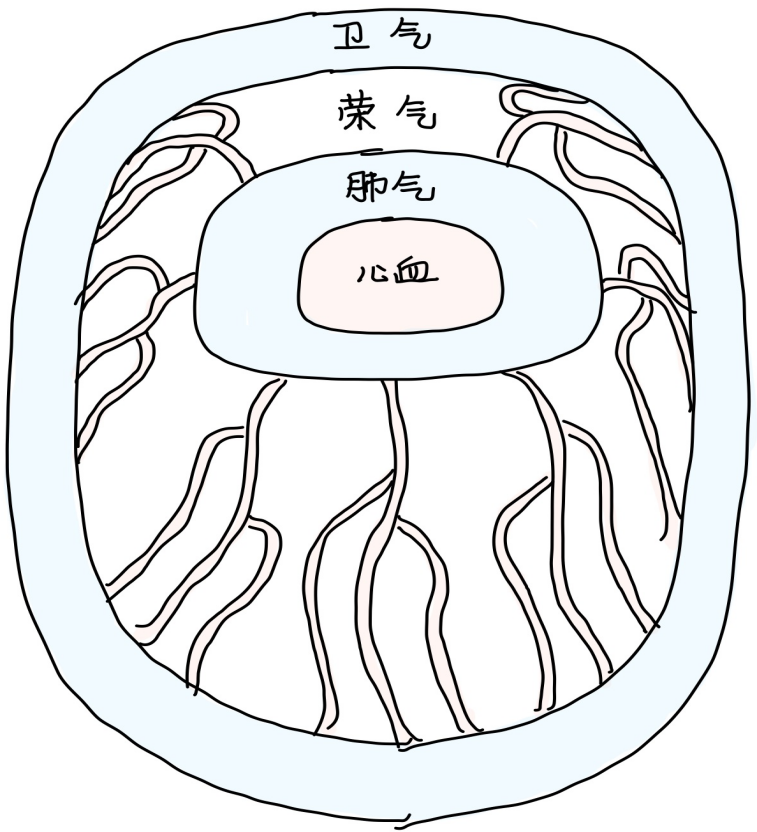 图片[3]-4荣卫与表-善米