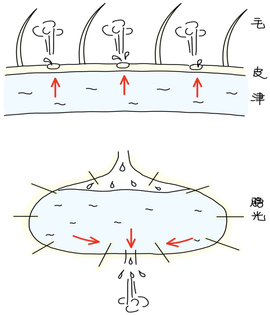 图片[4]-6营器之所合-善米